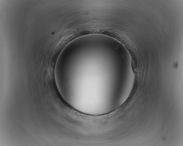 X0000091520035200708171225