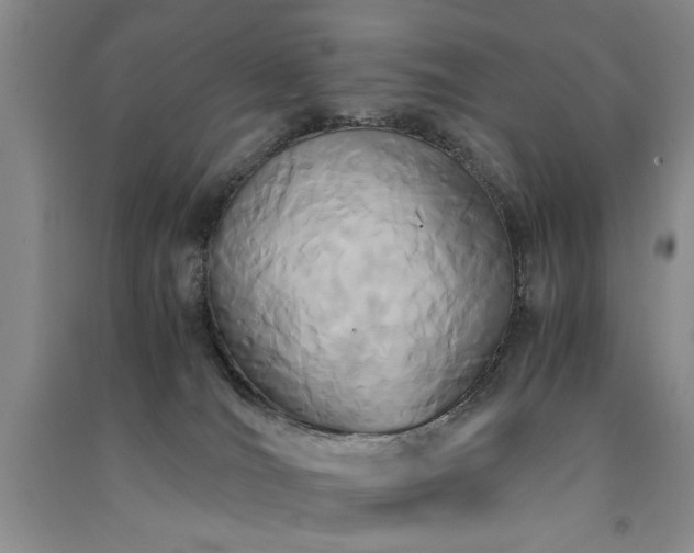 X0000091520036200708171225