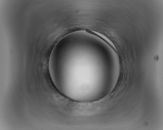 X0000091520037200708171225
