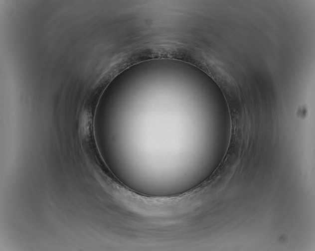 X0000091520038200708171225