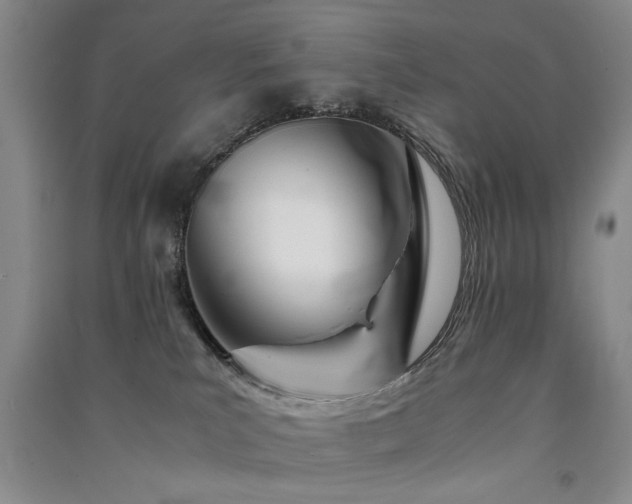 X0000091520039200708171225