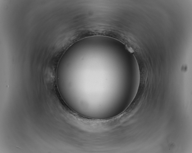 X0000091520040200708171225