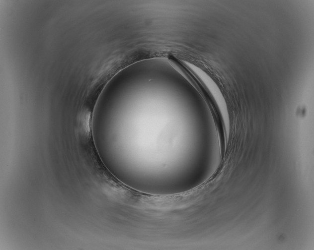 X0000091520041200708171225