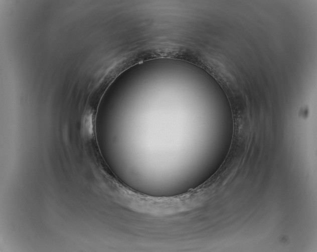 X0000091520042200708171225