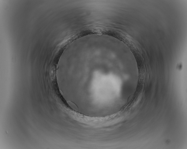 X0000091520043200708171225