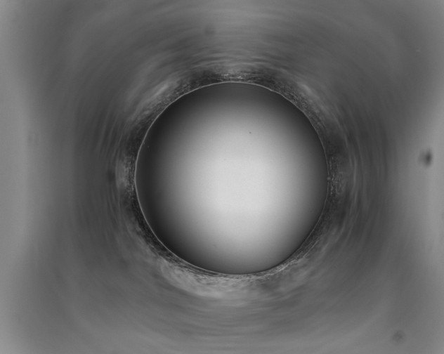 X0000091520044200708171225