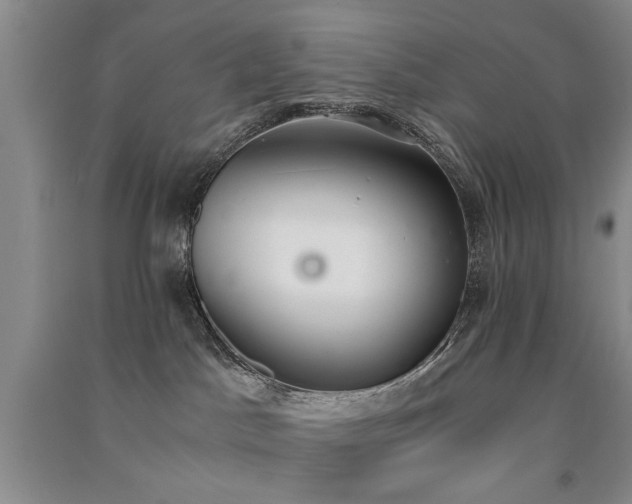 X0000091520045200708171225