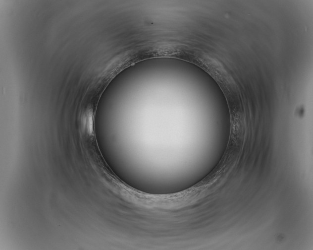 X0000091520046200708171225