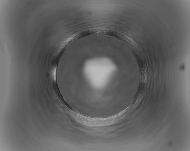 X0000091520047200708171225