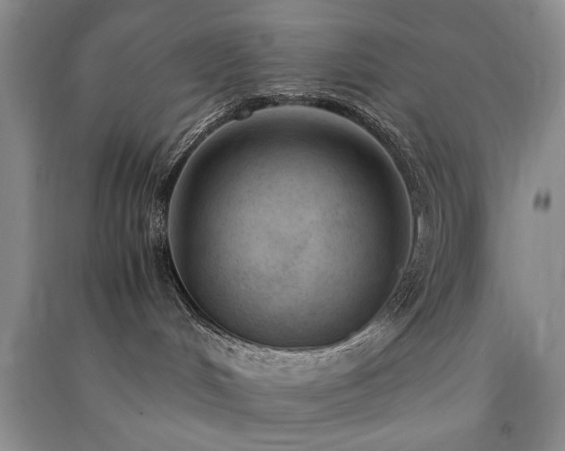 X0000091520048200708171225
