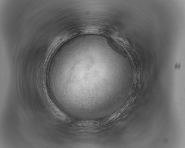 X0000091520049200708171224