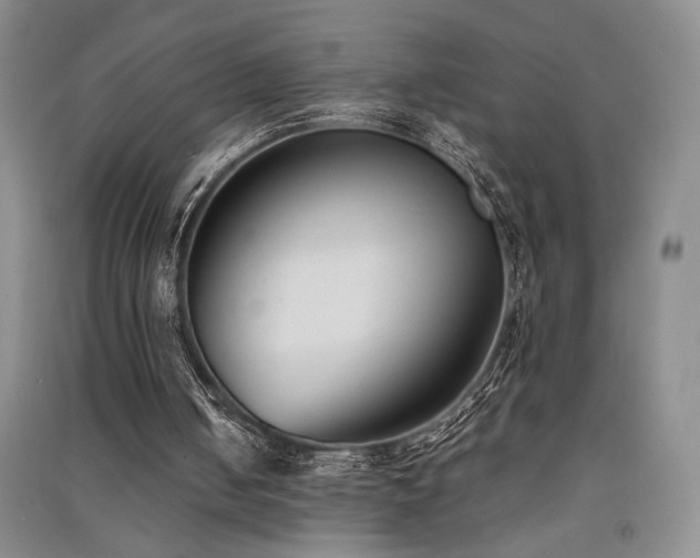 X0000091520050200708171224