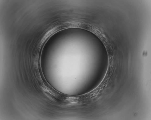 X0000091520051200708171224