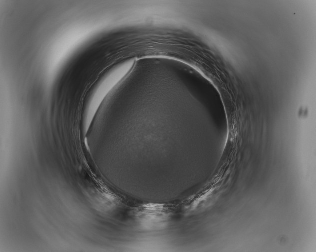 X0000091520052200708171224