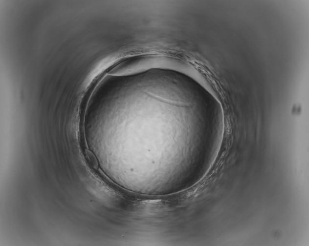 X0000091520054200708171224