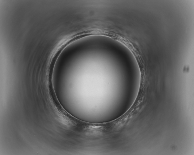 X0000091520055200708171224