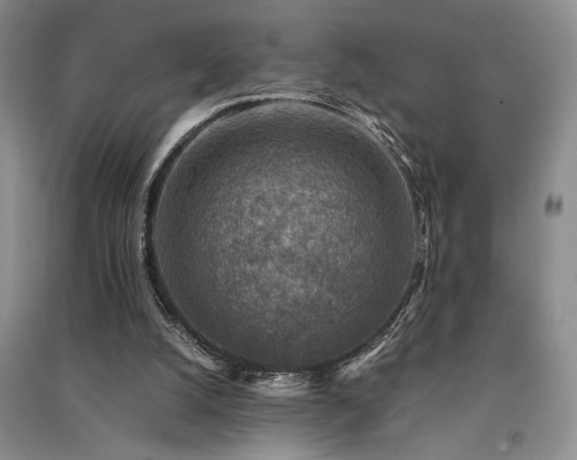 X0000091520056200708171224