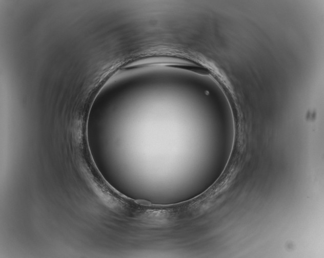 X0000091520057200708171224