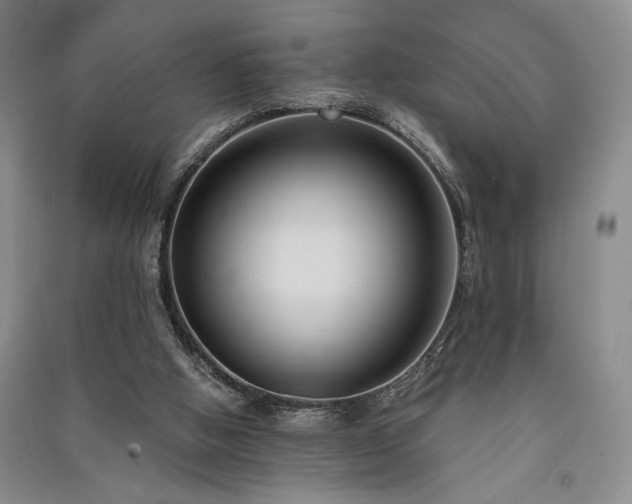 X0000091520058200708171224