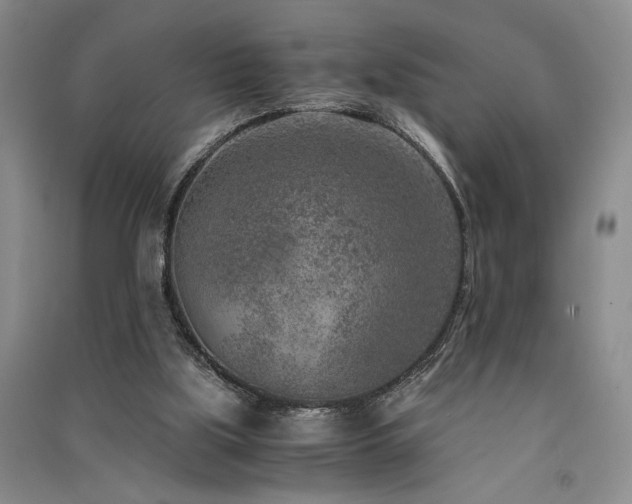 X0000091520059200708171224