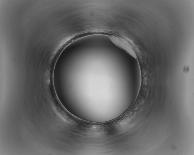 X0000091520060200708171224