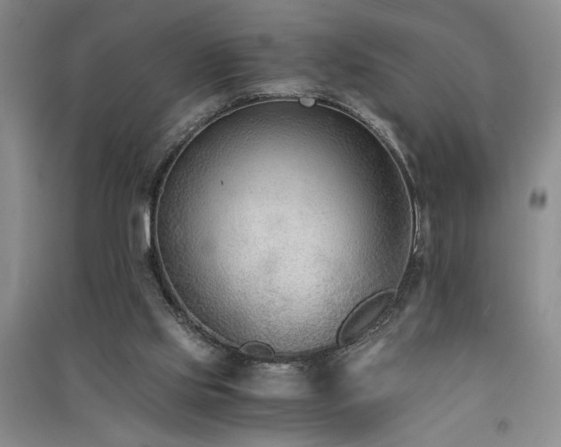 X0000091520061200708171225