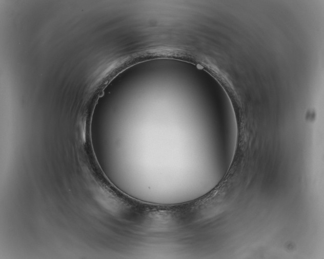 X0000091520062200708171225