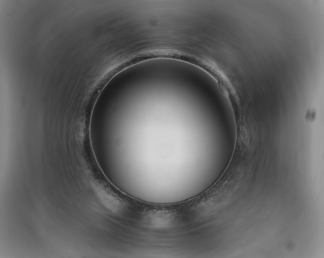 X0000091520063200708171225