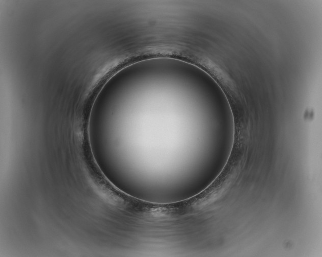 X0000091520064200708171225
