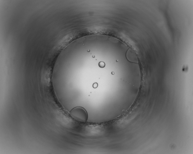 X0000091520065200708171225