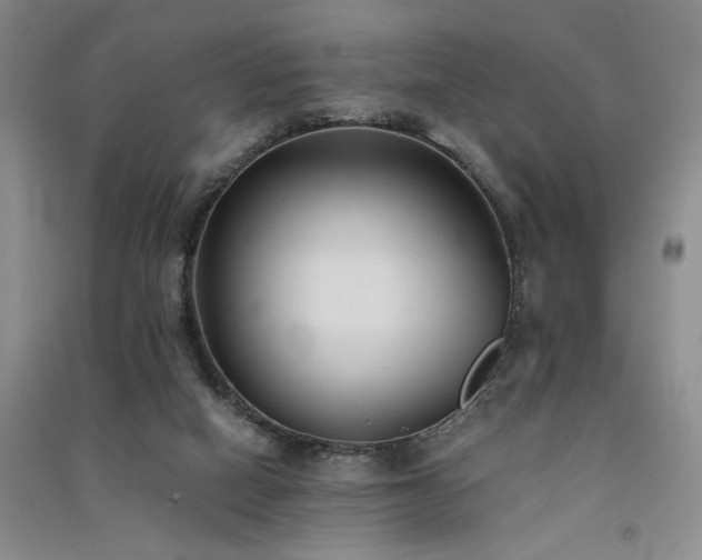 X0000091520066200708171225
