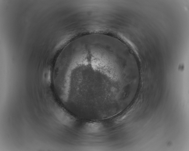 X0000091520067200708171225