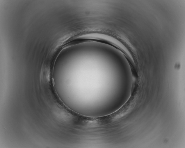 X0000091520068200708171225