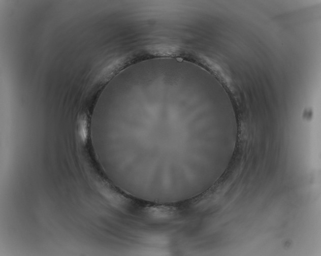 X0000091520069200708171225