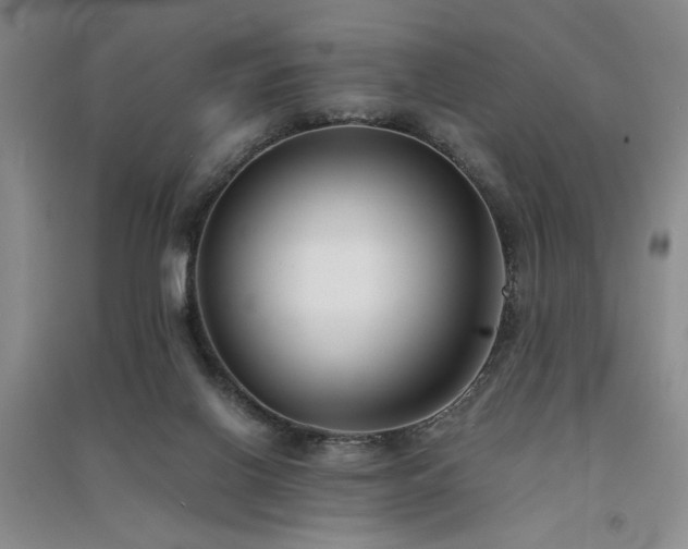 X0000091520070200708171225