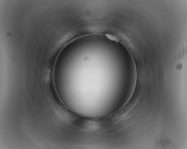 X0000091520071200708171225