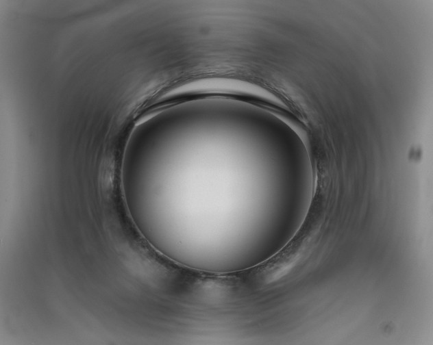 X0000091520072200708171225