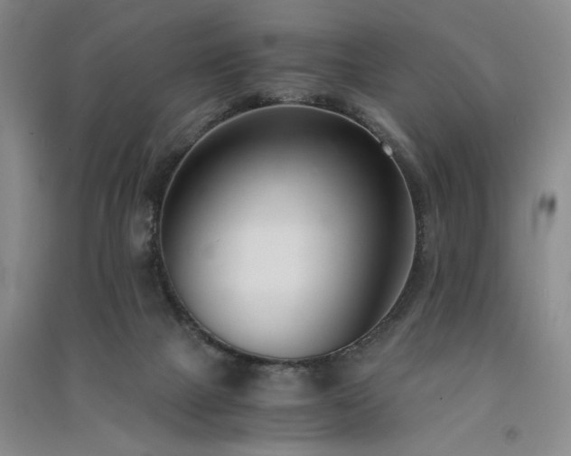 X0000091520073200708171225