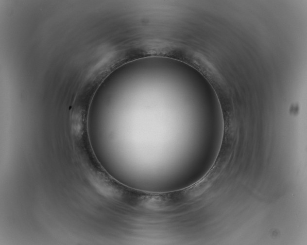 X0000091520074200708171225