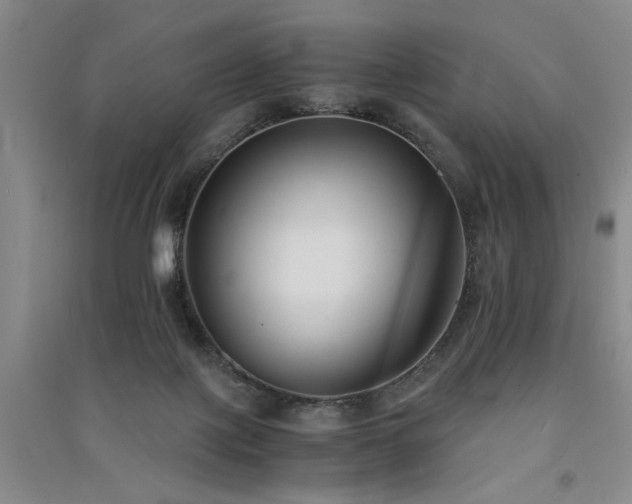 X0000091520075200708171225