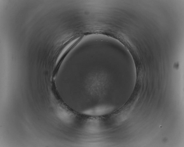 X0000091520076200708171225