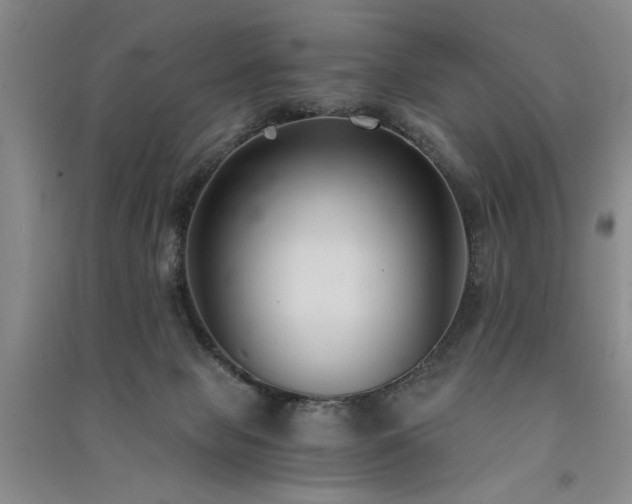 X0000091520077200708171225