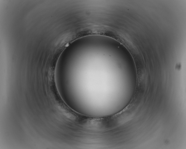 X0000091520078200708171225