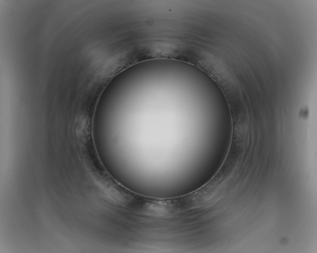 X0000091520079200708171225