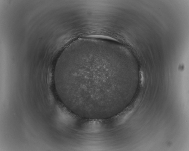 X0000091520080200708171225