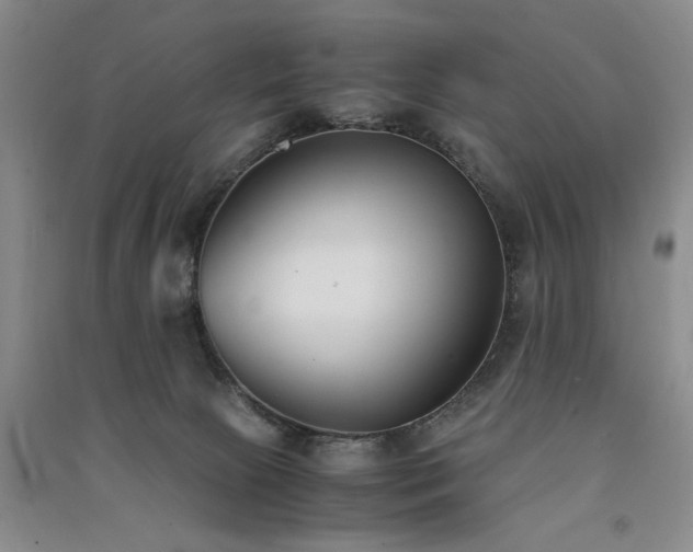 X0000091520081200708171225