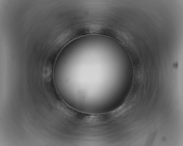 X0000091520082200708171225