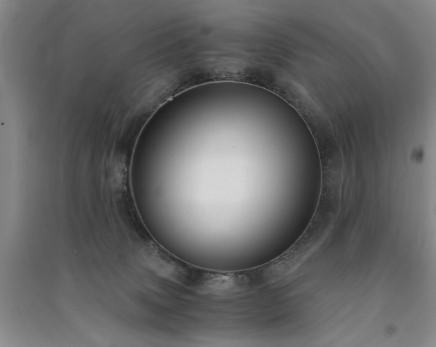 X0000091520083200708171225