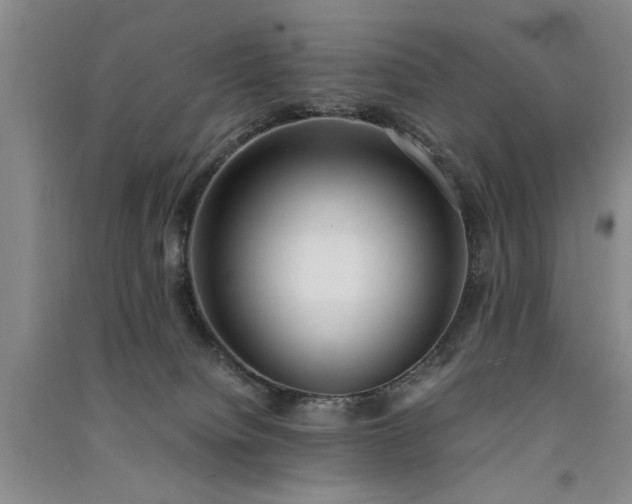 X0000091520084200708171225