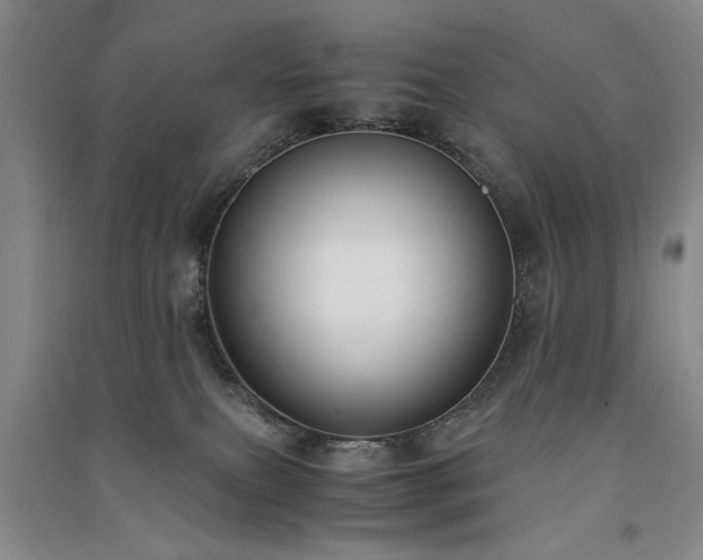 X0000091520087200708171225